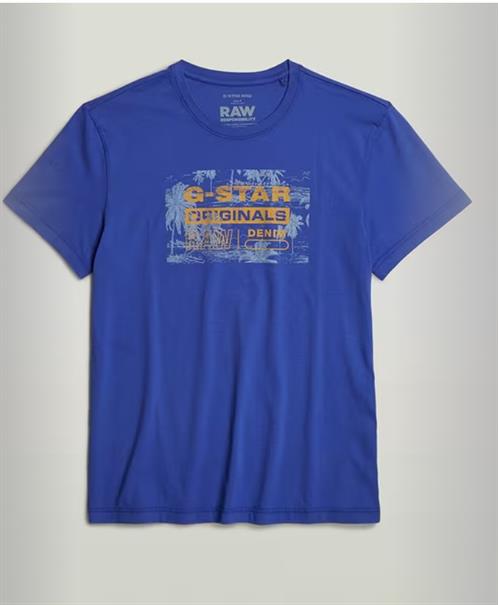 Framed palm originals r t radar blue