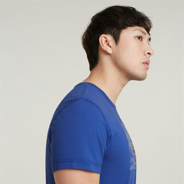 Framed palm originals r t radar blue