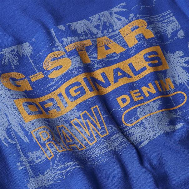 Framed palm originals r t radar blue