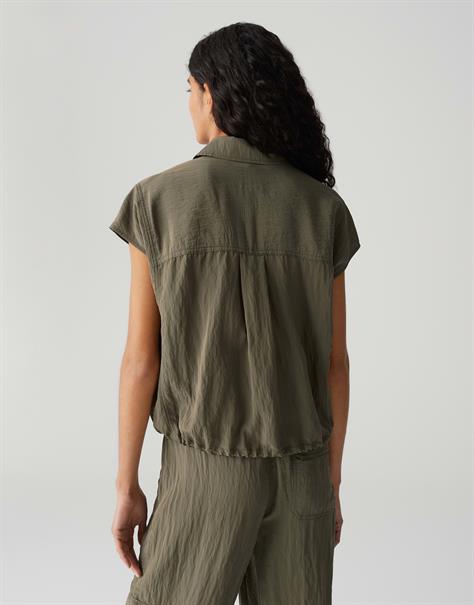 Fropi olive leaf