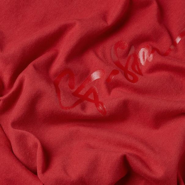 G-script shiny r t wmn baron