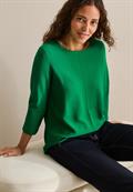 garden green