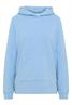 Garment dyed Hoodie light sky blue
