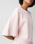 Gikko rose tint