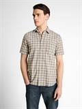 green white check