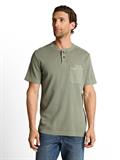greyish shadow olive