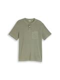 greyish shadow olive