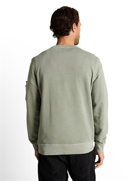 greyish shadow olive