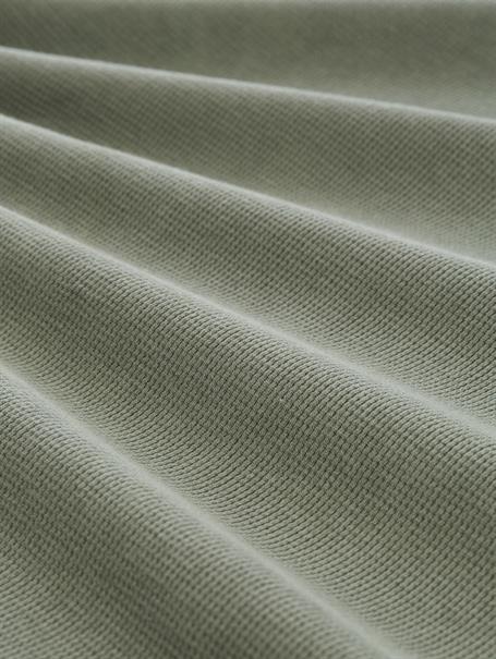 greyish shadow olive