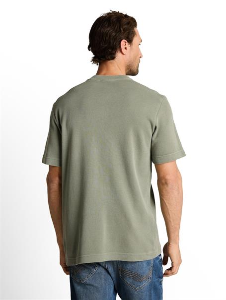 greyish shadow olive