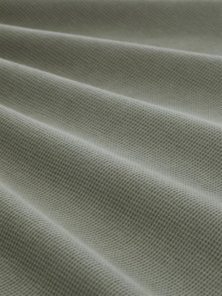 greyish shadow olive