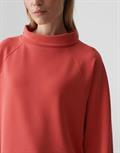 Gudie sweet red