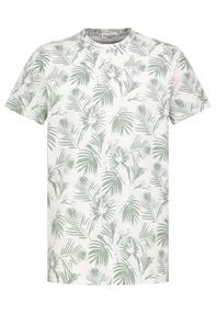 H12081Z22545A palm leaves: ivory white-ice berg green