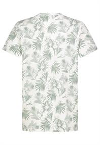 H12081Z22545A palm leaves: ivory white-ice berg green