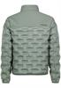 H51162AB44545A1 agave green