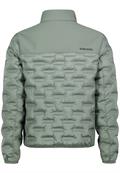 H51162AB44545A1 agave green