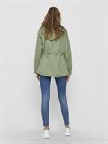 hedge green