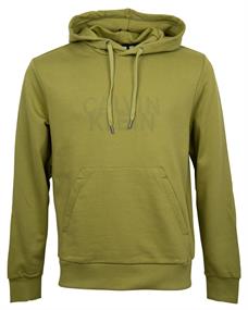 Hoodie grün