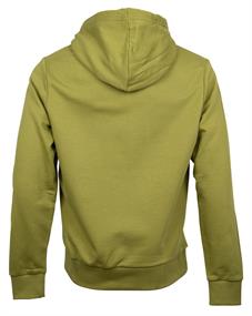 Hoodie grün