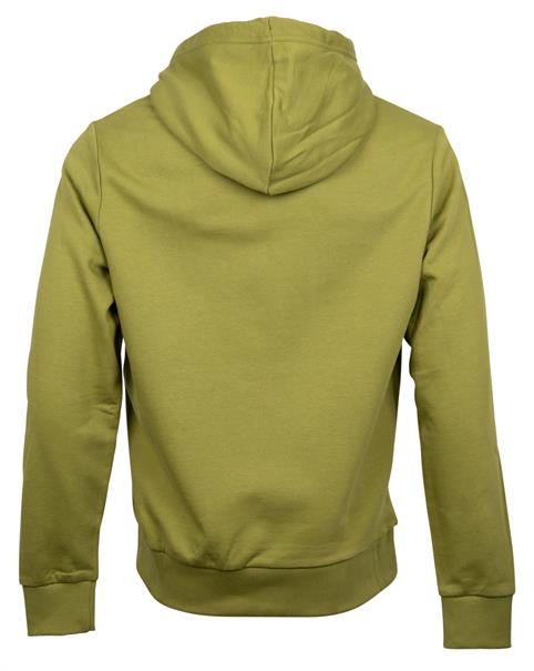 Hoodie grün