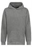 Hoodie mit Backprint ash grey