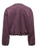 huckleberry