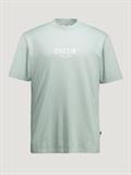 iceberg green