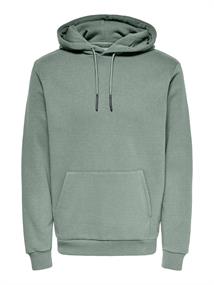 iceberg green