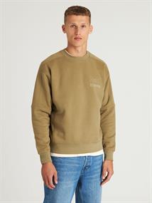 IDO olive