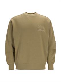 IDO olive