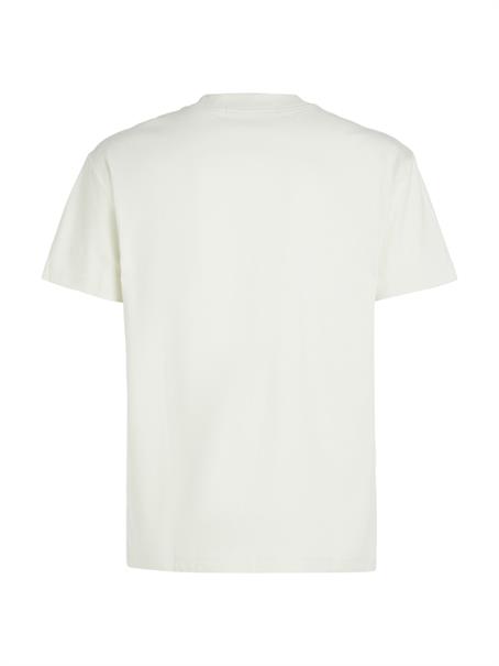 INSTITUTIONAL TEE icicle