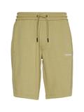 INTERLOCK MICRO LOGO SWEATSHORTS sage