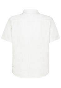 ivory white