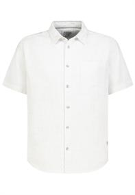 ivory white