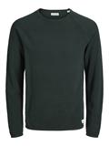 JAUHILL KNIT CREW NECK NOOS scarab