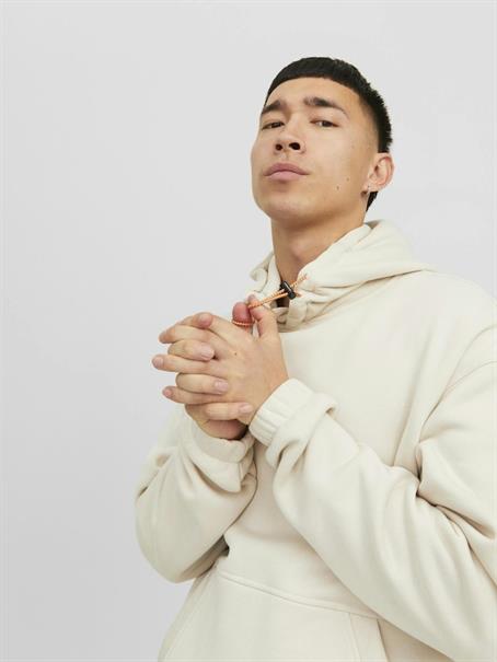 JCOFILO PLAIN AW23 SWEAT HOOD SN moonbeam