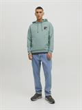 JCOFILO SWEAT HOOD SN trellis