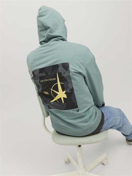 JCOFILO SWEAT HOOD SN trellis