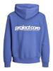 JCOUNION PRINT SWEAT HOOD NOOS beaucoup blue