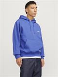 JCOUNION PRINT SWEAT HOOD NOOS beaucoup blue