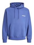 JCOUNION PRINT SWEAT HOOD NOOS beaucoup blue