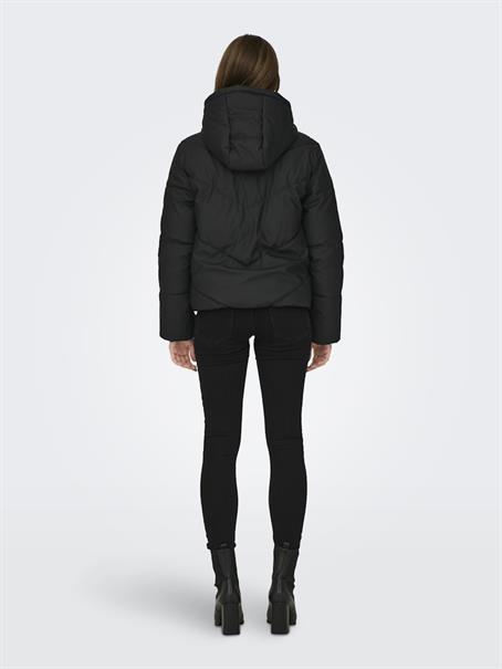 JDYARNHEM WATER REP SHORT JKT NOOS black