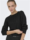 JDYBEAUTY L/S GLITTER PULLOVER KNT black