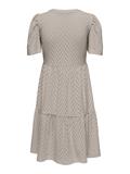 JDYCARLA CATHINKA S/S DRESS JRS NOOS chateau gray