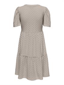 JDYCARLA CATHINKA S/S DRESS JRS NOOS chateau gray