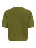 JDYCHLOE LIFE 2/4 CARDIGAN KNT NOOS sphagnum