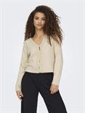 JDYFRANCIE L/S V-NECK CARDIGAN KNT birch
