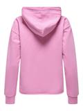 JDYGAMMA L/S HOOD SWEAT JRS DIA rosebloom