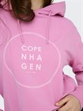 JDYGAMMA L/S HOOD SWEAT JRS DIA rosebloom