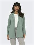JDYGEGGO L/S BLAZER JRS NOOS chinois green